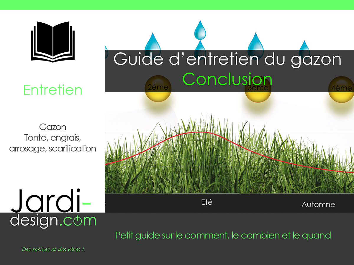 Guide d'entretien du gazon - Chapitre 4 - Défeutrage Regarnissage